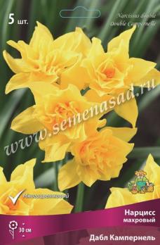 Нарцисс махровый Дабл Кампернель 12/14 (5шт) 30см