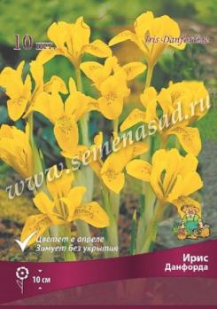Ирис Данфорда 5/6 (10шт) 10см