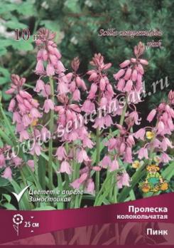 Пролеска колокольчатая Пинк 7/8 (10шт)