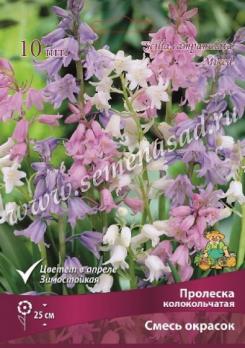 Пролеска колокольчатая Смесь окрасок 7/8 (10шт)