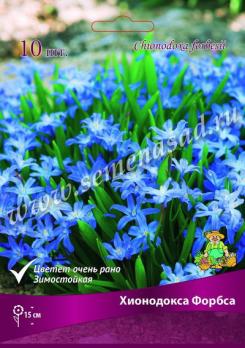 Хионодокса Форбса 5/6 (10шт) 15см