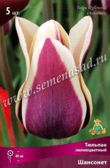 Тюльпан лилиецветный Шансонет 12/+ (5шт)