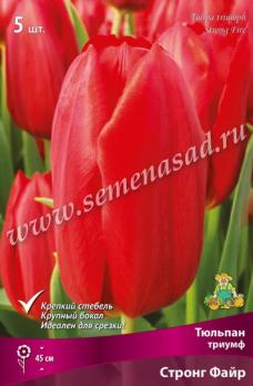 Тюльпан триумф Стронг Файр 12/+ (5шт)