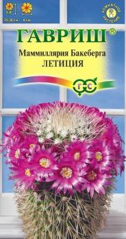Маммиллярия Бакеберга (Кактус) Летиция 2шт /комнатные