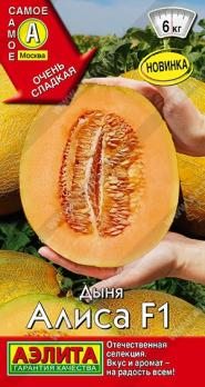 Дыня Алиса F1 /10шт среднеспел сер.Самое Самое