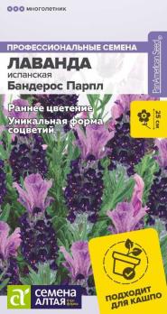 Лаванда Бандерос Парпл 5шт испанская /многолетник