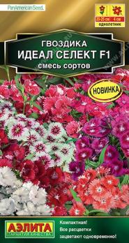 АКЦИЯ!!! Гвоздика Идеал Селект F1 7шт смесь сортов(драже в пробирке) Сел.PanAmerican /однолет/12.25