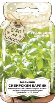 Базилик Сибирский Карлик 0,25гр сер.ЧУДО НА ЗАСОЛ /крупнолистный сладковато-острый аромат