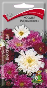 Космея Махровая Кнопка 0,1гр /однолетник
