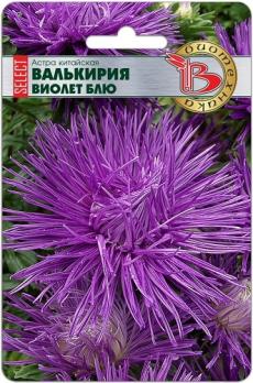 Астра Валькирия SELECT Виолет Блю 30шт китайская /однолетник