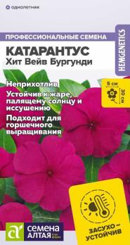 Катарантус Хит Вейв Бургунди 7шт /однолетник