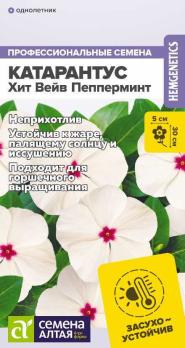Катарантус Хит Вейв Пепперминт 7шт /однолетник