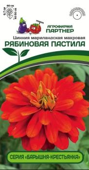 Цинния Барышня-Крестьянка РЯБИНОВАЯ ПАСТИЛА 5шт 2-ной пакет махровая /однолетник