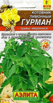 Котовник лимонный Гурман