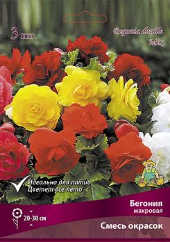 Бегония смесь окрасок (3шт) 25см махровая 4/5
