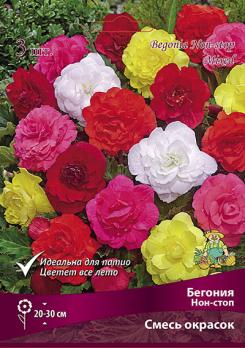 Бегония смесь окрасок (3шт) нон-стоп 4/5