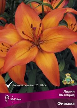 Лилия ЛА-гибрид Фиамма (5шт) 110см 12/14