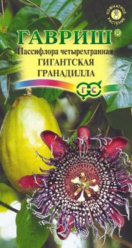 Пассифлора Гигантская Гранадилла (четырехгранная) 3шт /комнатные