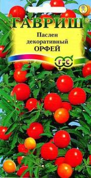 Паслён декоративный Орфей* 12 шт.