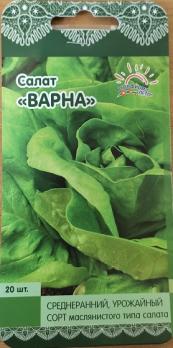 Салат Варна 20шт листовой Нидерланды /среднеранний маслянистый