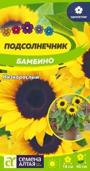 Подсолнечник декор.Бамбино 0,5гр низкорослый /однолетник