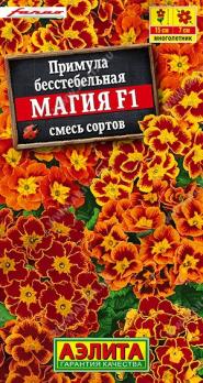 АКЦИЯ!!! Примула Магия F1 7шт бесстебельная смесь сортов /многолетник/12.27