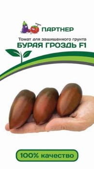 АКЦИЯ!!! Томат Бурая Гроздь F1 /10с раннеспел,индетерм  2-ной пак/12.27