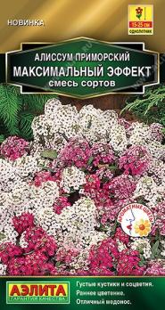 Алиссум Максимальный Эффект 0,05гр смесь сортов Золотая серия /однолетник