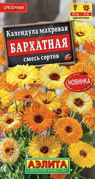 Календула Бархатная 0,3гр смесь сортов махровая /однолетник