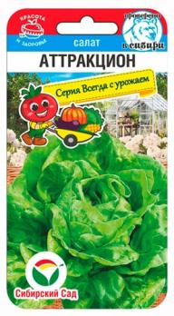 Салат Аттракцион 0,5гр /среднеспелый кочанный сорт 