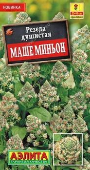 Резеда Маше Миньон 0,1гр душистая /однолетник