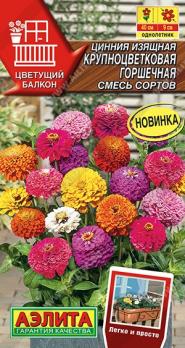 Цинния Крупноцветковая Горшечная 12шт смесь сортов сер.Цветущий балкон /однолетник