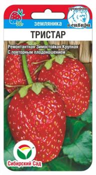 Земляника Тристар 10шт /ремонтантный зимостойкий сорт