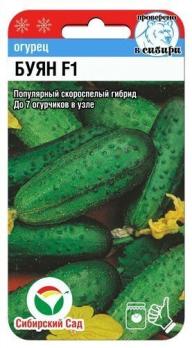 Огурец Буян F1 7шт /популярный скороспелый партенокарпический