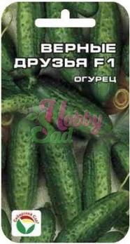 Огурец Верные Друзья F1 /7шт очень скороспел