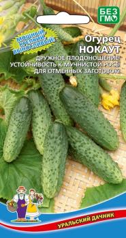 Огурец Нокаут