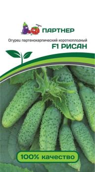 Огурец Рисан F1 /5с среднеспел,партенок,корнишон.тип