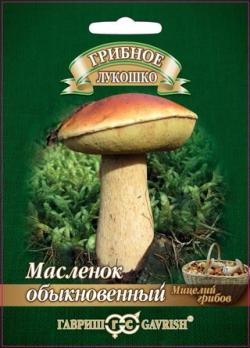 Гриб МАСЛЕНОК на зерновом субстрате 15мл