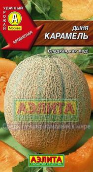 Дыня Карамель 1гр /среднеранний