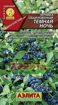 Черника Темная Ночь (обыкновенная)/40см