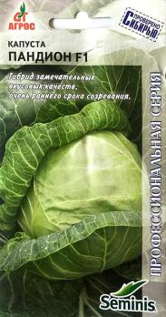 Капуста б/к Пандион F1 /15шт сер.Seminis раннеспел