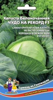Капуста б/к Чудо На Рекорд F1 /0,3гр суперурожайная (Голландия)