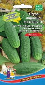Огурец Желудь F1 /10шт суперурожайный