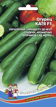 Огурец Катя F1 /5шт скороспелый (Голландия)