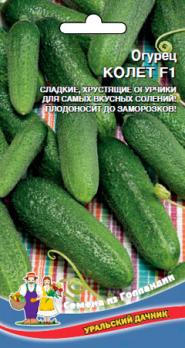 Огурец Колет F1 /8шт улучшенный вариант Клавдии ,очень ранний (Голландия)