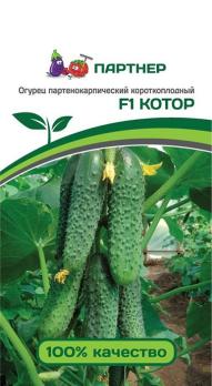 Огурец Котор F1 /5с раннеспел,партенок