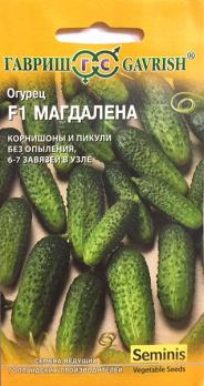 АКЦИЯ!!! Огурец Магдалена F1 /5шт раннеспел,партенок,корнишон (Голландия) /12.24