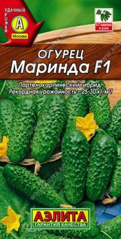Огурец Маринда F1 10шт /суперпопулярный партенокарпический раннеспелый