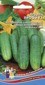 Огурец Профи F1 /8шт ультраранний, партенокарп (Голландия)