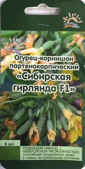 Огурец Сибирская Гирлянда F1 /5шт партенок,ультроскор.,пучковой 
